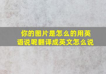 你的图片是怎么的用英语说呢翻译成英文怎么说