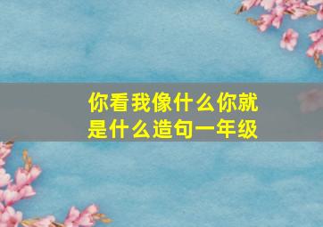 你看我像什么你就是什么造句一年级