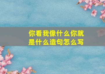 你看我像什么你就是什么造句怎么写