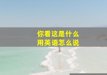 你看这是什么用英语怎么说