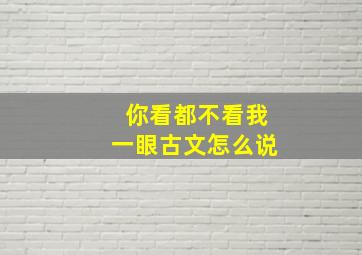 你看都不看我一眼古文怎么说