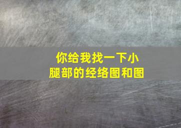 你给我找一下小腿部的经络图和图