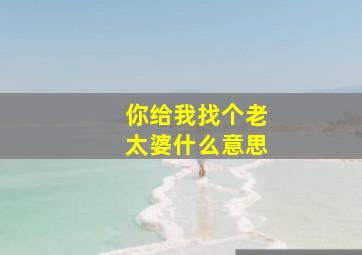 你给我找个老太婆什么意思