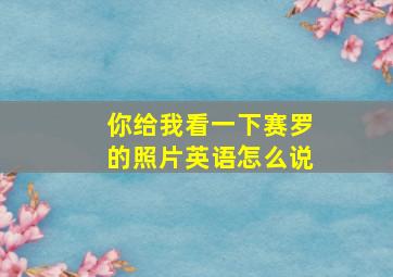 你给我看一下赛罗的照片英语怎么说