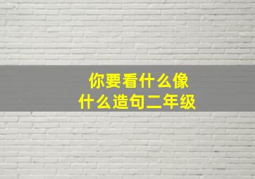 你要看什么像什么造句二年级