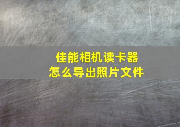 佳能相机读卡器怎么导出照片文件