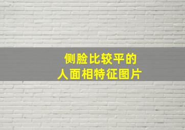 侧脸比较平的人面相特征图片