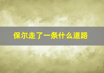 保尔走了一条什么道路