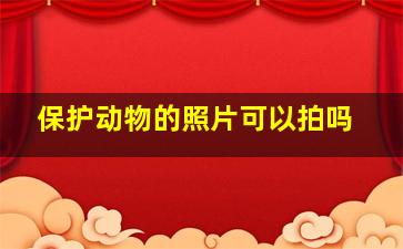 保护动物的照片可以拍吗