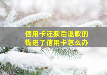 信用卡还款后退款的钱进了信用卡怎么办