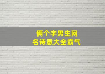 俩个字男生网名诗意大全霸气