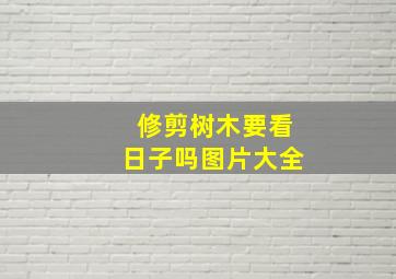 修剪树木要看日子吗图片大全