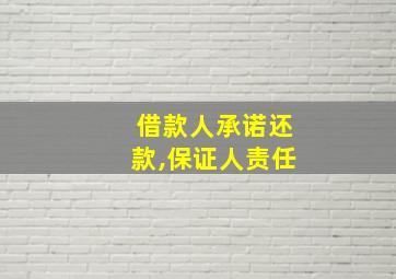 借款人承诺还款,保证人责任