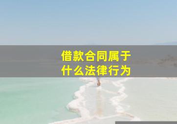 借款合同属于什么法律行为