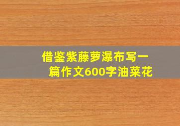 借鉴紫藤萝瀑布写一篇作文600字油菜花