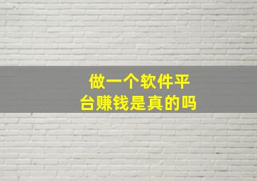 做一个软件平台赚钱是真的吗