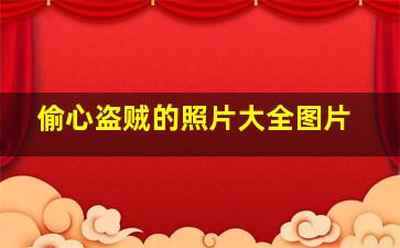 偷心盗贼的照片大全图片