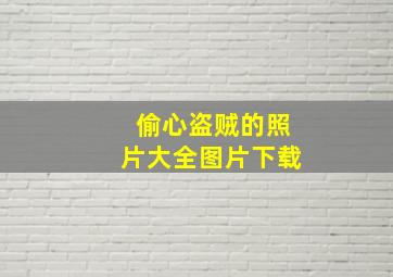 偷心盗贼的照片大全图片下载