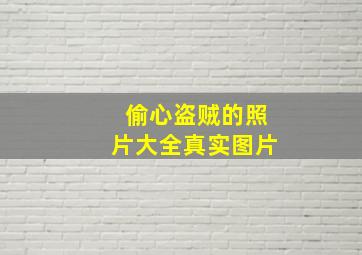 偷心盗贼的照片大全真实图片