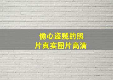 偷心盗贼的照片真实图片高清