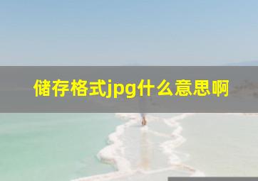 储存格式jpg什么意思啊