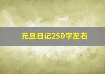 元旦日记250字左右