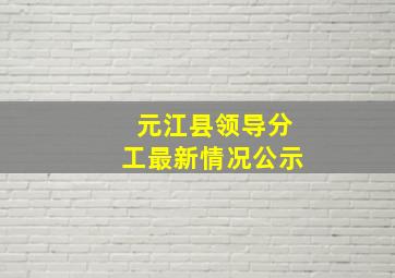 元江县领导分工最新情况公示