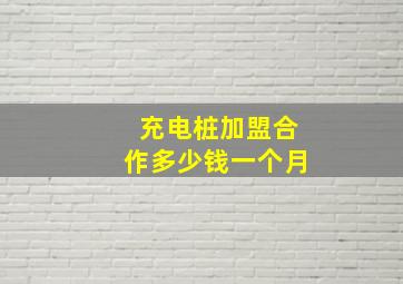 充电桩加盟合作多少钱一个月