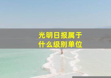 光明日报属于什么级别单位