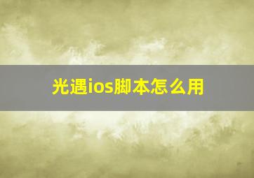 光遇ios脚本怎么用