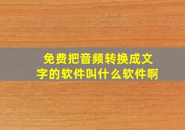 免费把音频转换成文字的软件叫什么软件啊