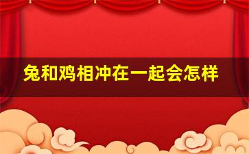 兔和鸡相冲在一起会怎样