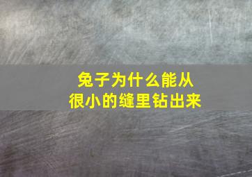 兔子为什么能从很小的缝里钻出来