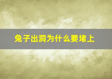 兔子出洞为什么要堵上