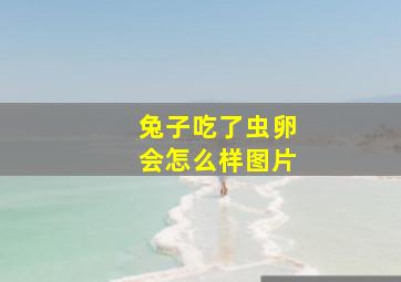 兔子吃了虫卵会怎么样图片