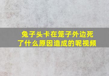 兔子头卡在笼子外边死了什么原因造成的呢视频