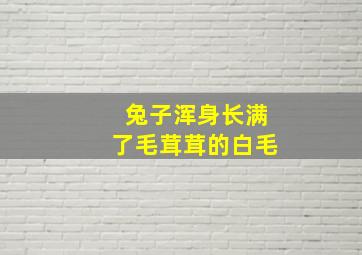 兔子浑身长满了毛茸茸的白毛