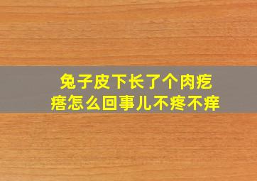 兔子皮下长了个肉疙瘩怎么回事儿不疼不痒