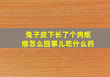 兔子皮下长了个肉疙瘩怎么回事儿吃什么药