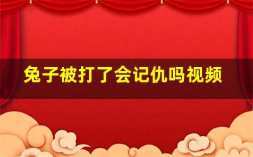 兔子被打了会记仇吗视频