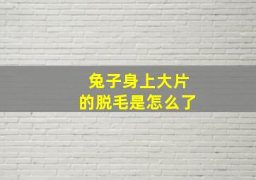 兔子身上大片的脱毛是怎么了