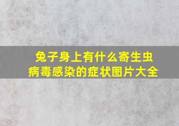 兔子身上有什么寄生虫病毒感染的症状图片大全