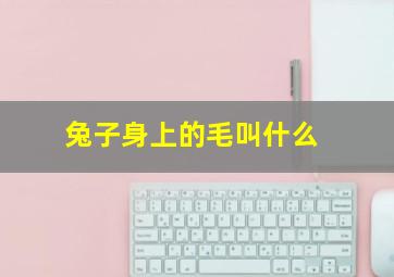 兔子身上的毛叫什么