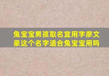 兔宝宝男孩取名宜用字廖文豪这个名字适合兔宝宝用吗