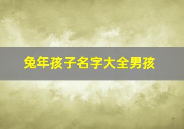 兔年孩子名字大全男孩