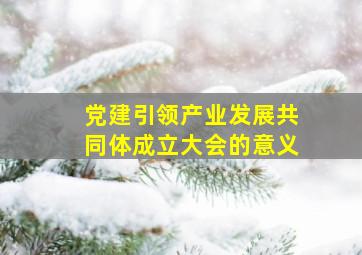 党建引领产业发展共同体成立大会的意义