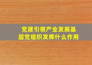 党建引领产业发展基层党组织发挥什么作用