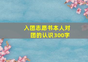 入团志愿书本人对团的认识300字