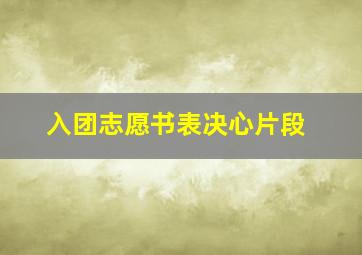 入团志愿书表决心片段