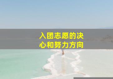 入团志愿的决心和努力方向